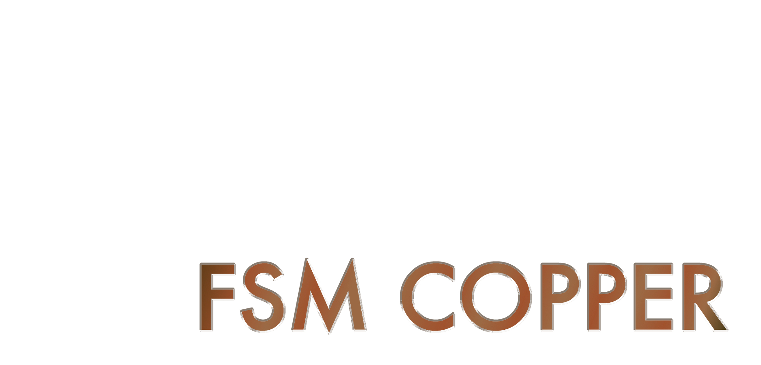 FSM Copper - zeitgeist